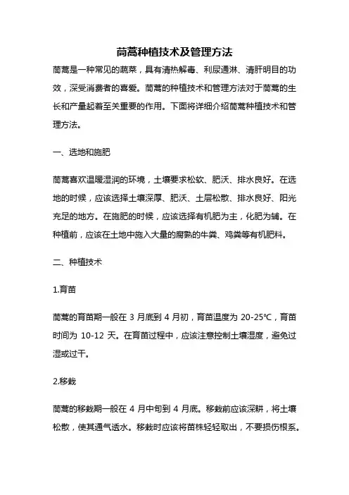 茼蒿种植技术及管理方法