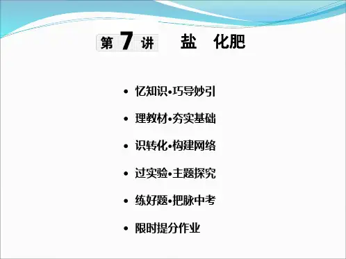 2020年中考化学第7讲 盐  化肥