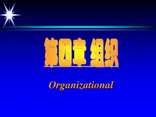 护理管理《组织》课件