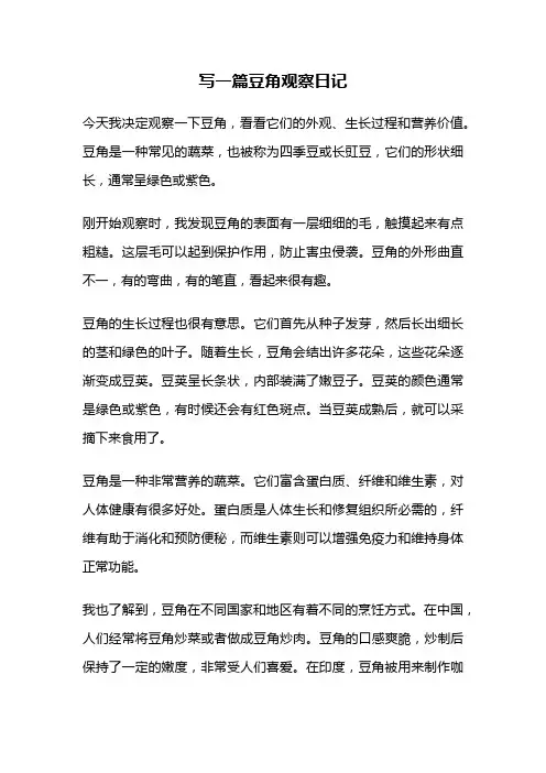 写一篇豆角观察日记