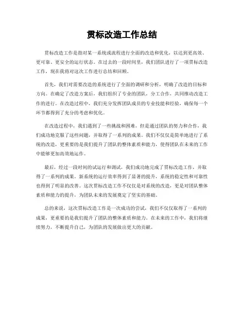贯标改造工作总结