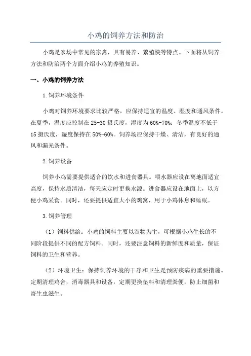 小鸡的饲养方法和防治