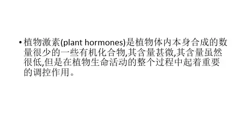 植物激素合成与降解