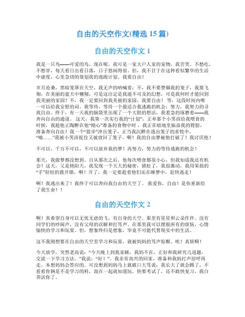 自由的天空作文(精选15篇)