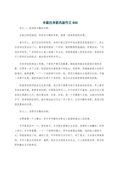 辛勤的身影风景作文600