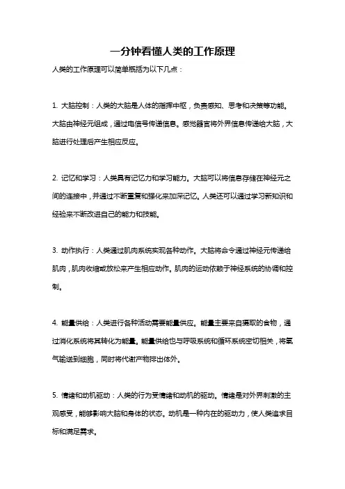 一分钟看懂人类的工作原理