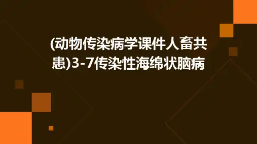 (动物传染病学课件人畜共患)3-7传染性海绵状脑病