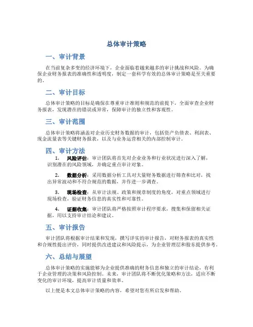 总体审计策略