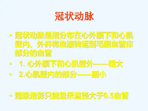 冠状动脉解剖与介入