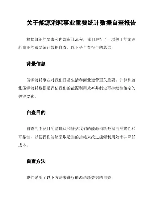 关于能源消耗事业重要统计数据自查报告