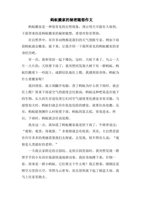 蚂蚁搬家的秘密随想作文