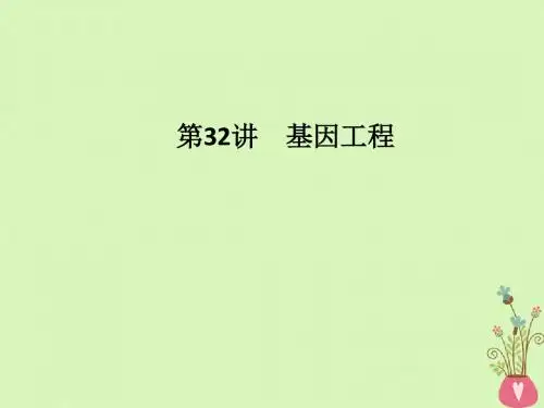 (浙江专版)2019版高考生物一轮复习第32讲基因工程课件