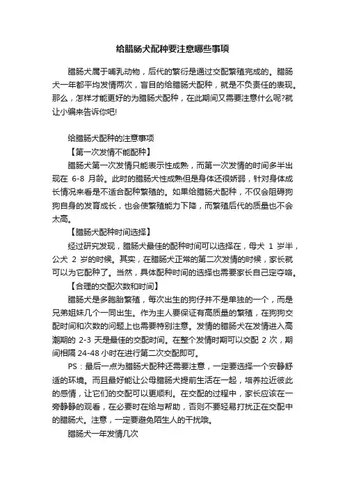 给腊肠犬配种要注意哪些事项