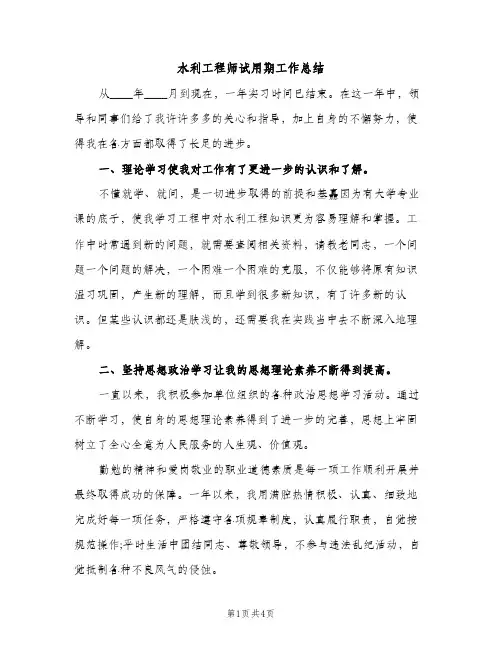 水利工程师试用期工作总结（2篇）