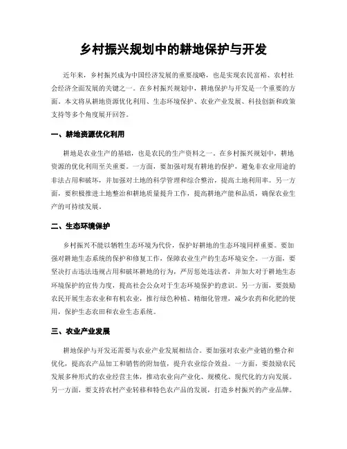 乡村振兴规划中的耕地保护与开发
