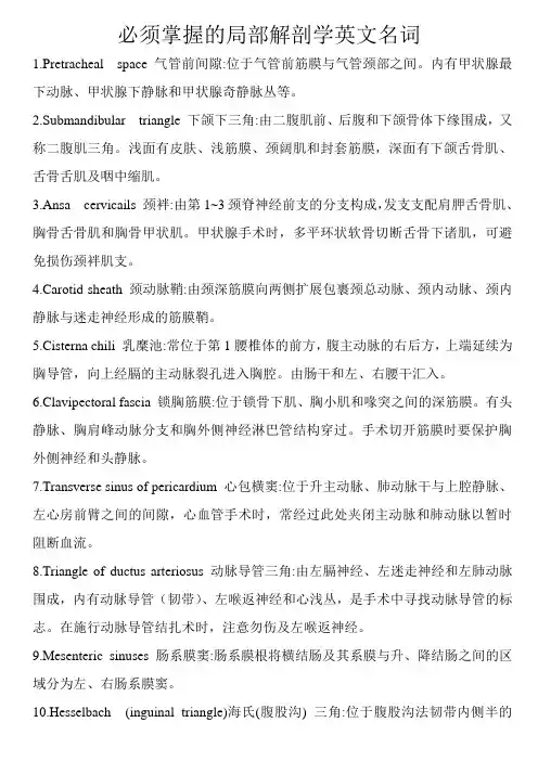 必须掌握的局部解剖学英文名词