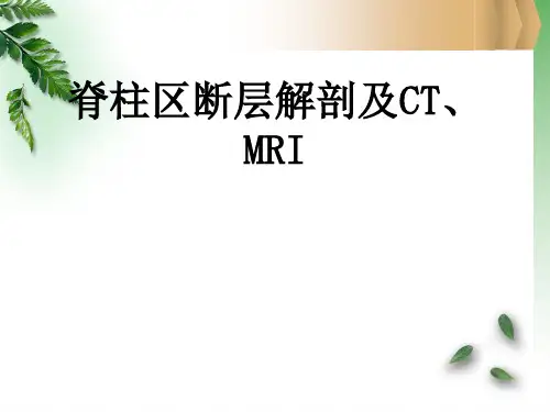 脊柱区断层解剖及CT、MRIppt课件