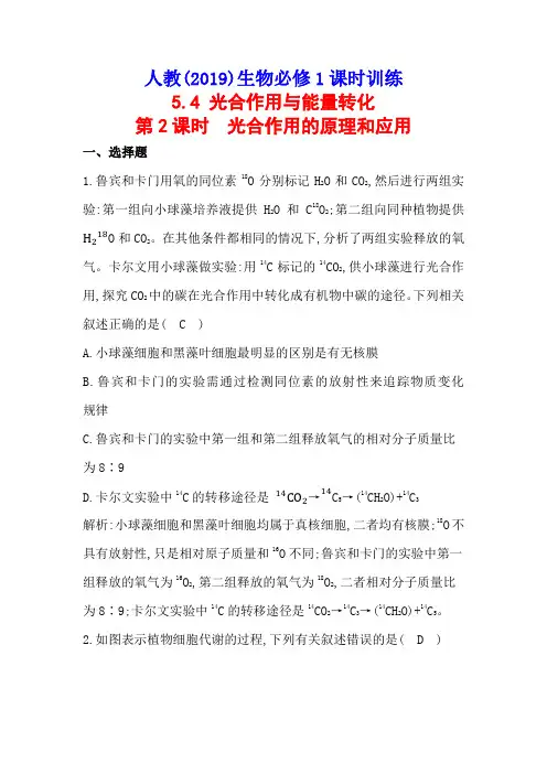 人教(2019)生物必修1课时训练：5-4(第2课时) 光合作用的原理和应用