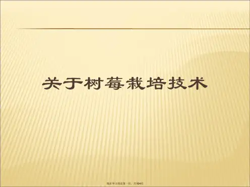 树莓栽培技术课件