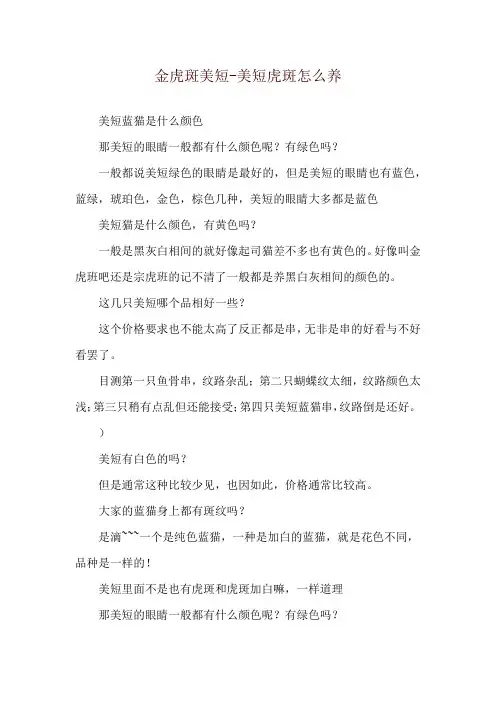 金虎斑美短-美短虎斑怎么养