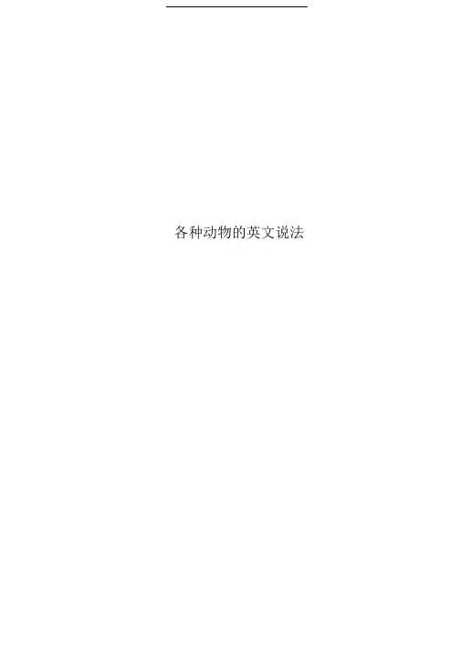 各种动物的英文说法