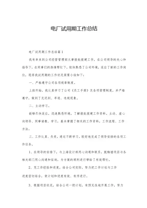 电厂试用期工作总结