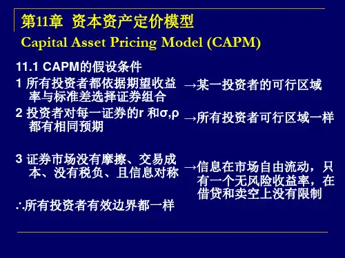 第十一章  资本资产定价模型