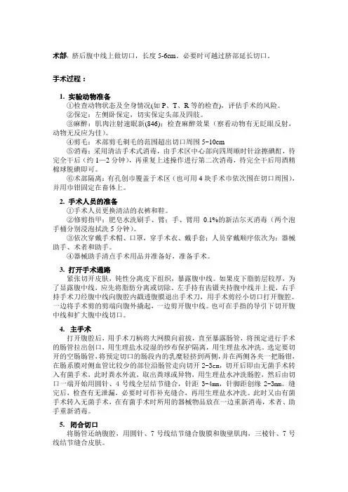 兔子的小肠切除与吻合术
