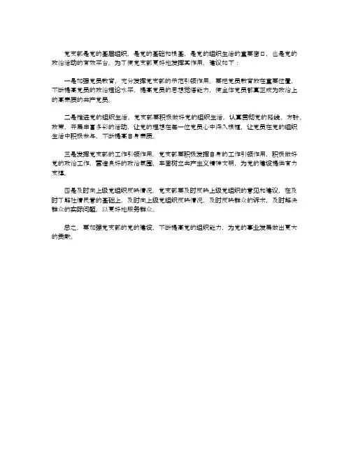 对党支部的意见建议