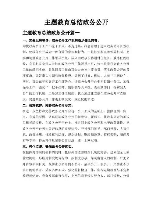 主题教育总结政务公开