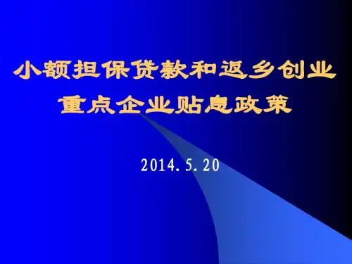 小额担保贷款讲课