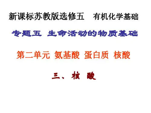 高二化学核酸课件