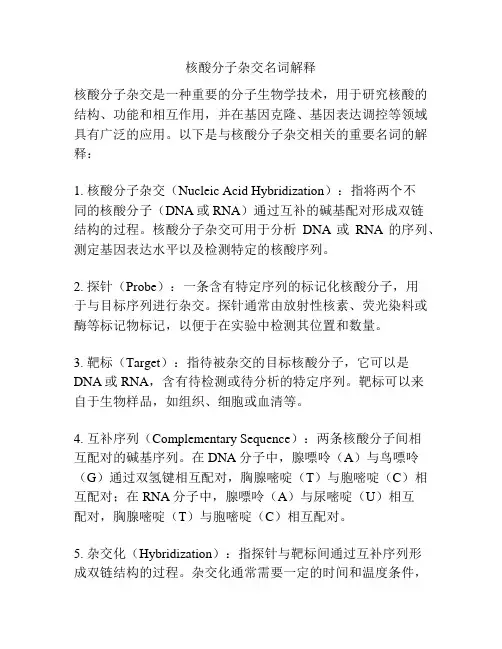 核酸分子杂交名词解释