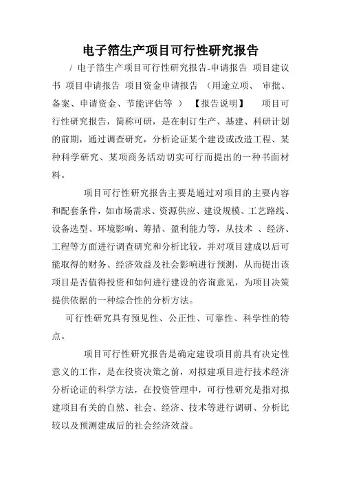 电子箔生产项目可行性研究报告.doc
