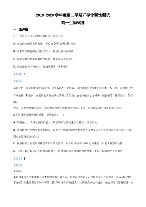 人教版高一生物下学期开学考试生物试题解析版