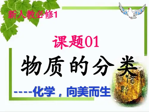 人教版化学《物质的分类及转化》PPT课件【新教材】1