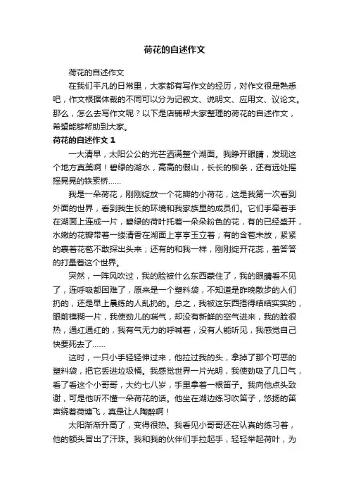 荷花的自述作文