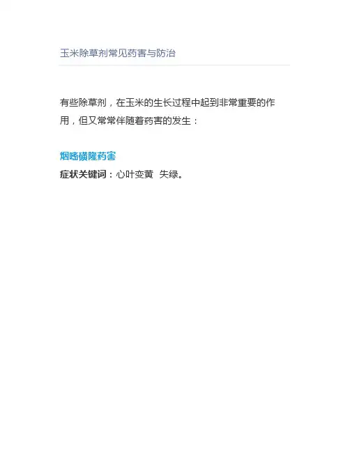 【农业】玉米除草剂常见药害与防治