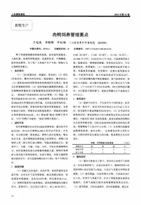 肉鸭饲养管理要点