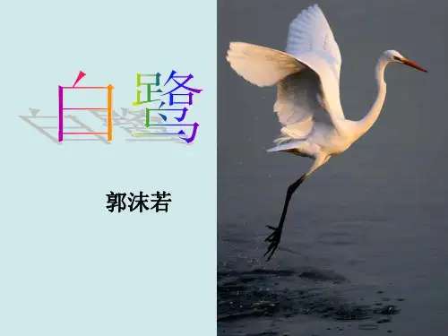 五年级上册《白鹭》PPT教学课件部编版