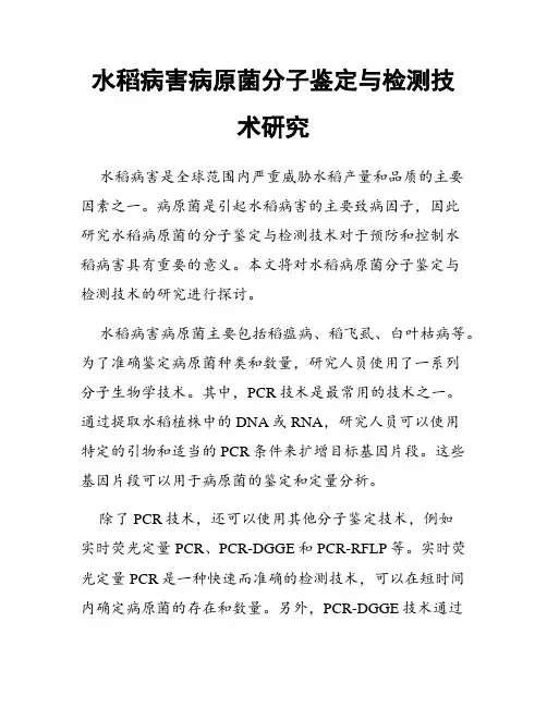 水稻病害病原菌分子鉴定与检测技术研究