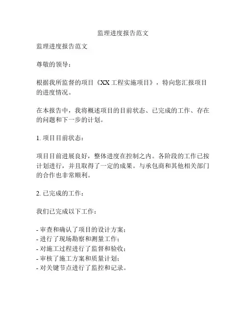 监理进度报告范文