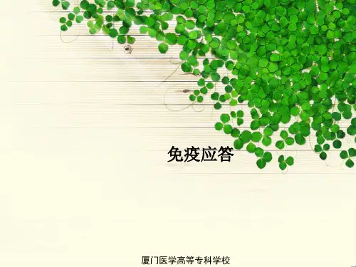 免疫应答