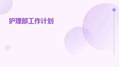护理部工作计划PPT