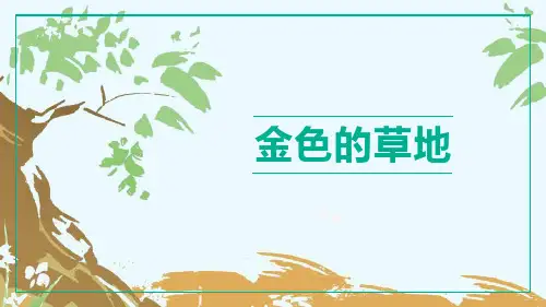 三年级语文上册第16课《金色的草地》教学课件