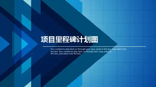 项目里程碑计划图