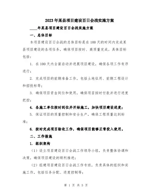 2023年某县项目建设百日会战实施方案