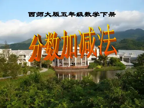 《分数加减法》PPT课件