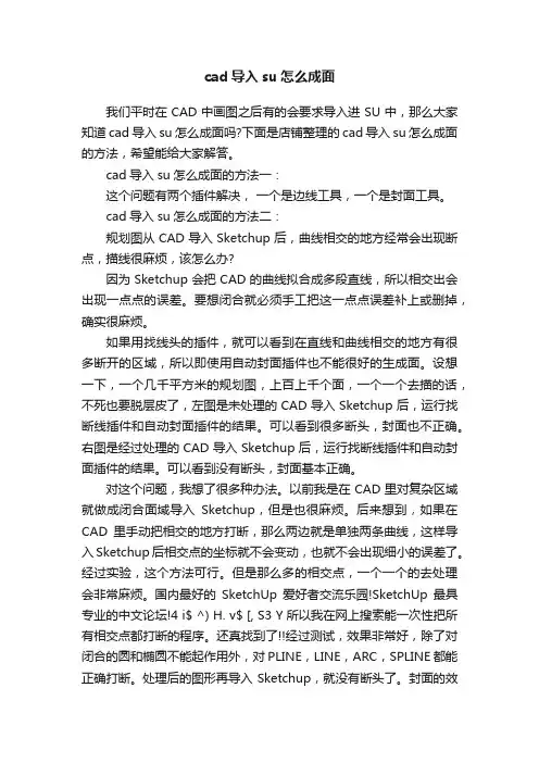 cad导入su怎么成面