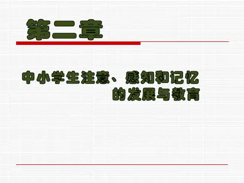 2第二章 中小学生注意、感知和记忆的发展与教育